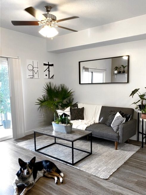 What Colors Accent Gray