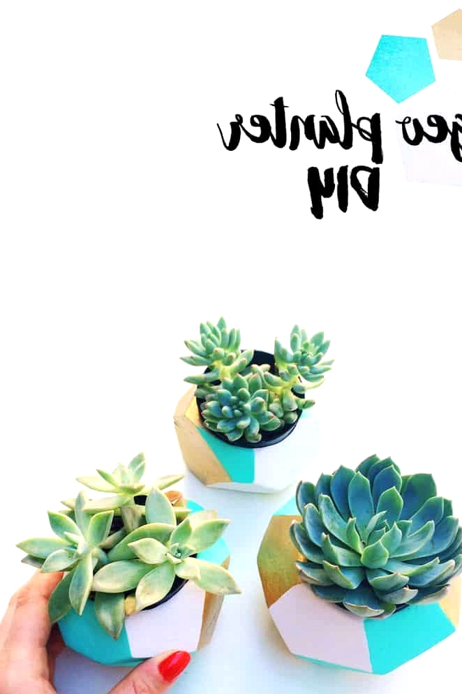 Geometric-succulent-planter