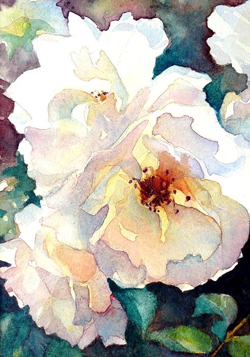 delicate watercolor roses