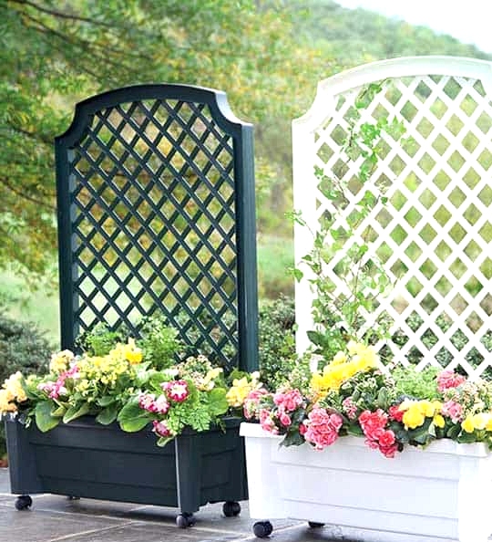 Buy a Planter With Trellis Attached