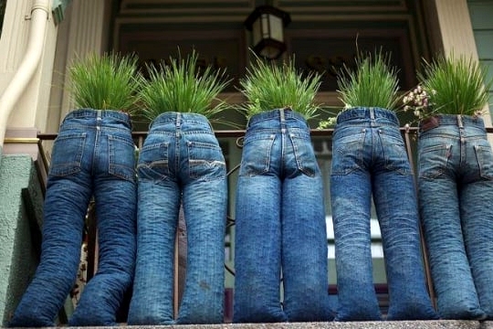 Change Things Up With Denim Jeans as Planters