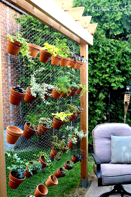 Add Chicken Wire and Plants to a Pergola