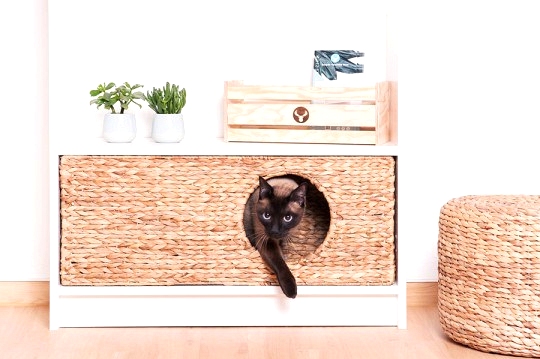 IKEA hacks for pets - Cat hangout fit for an IKEA Billy Bookcase.