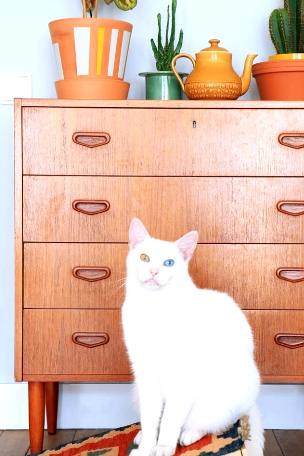 DIY cat scratching board using an IKEA mini rug or door mat. Awesome IKEA hacks for pets