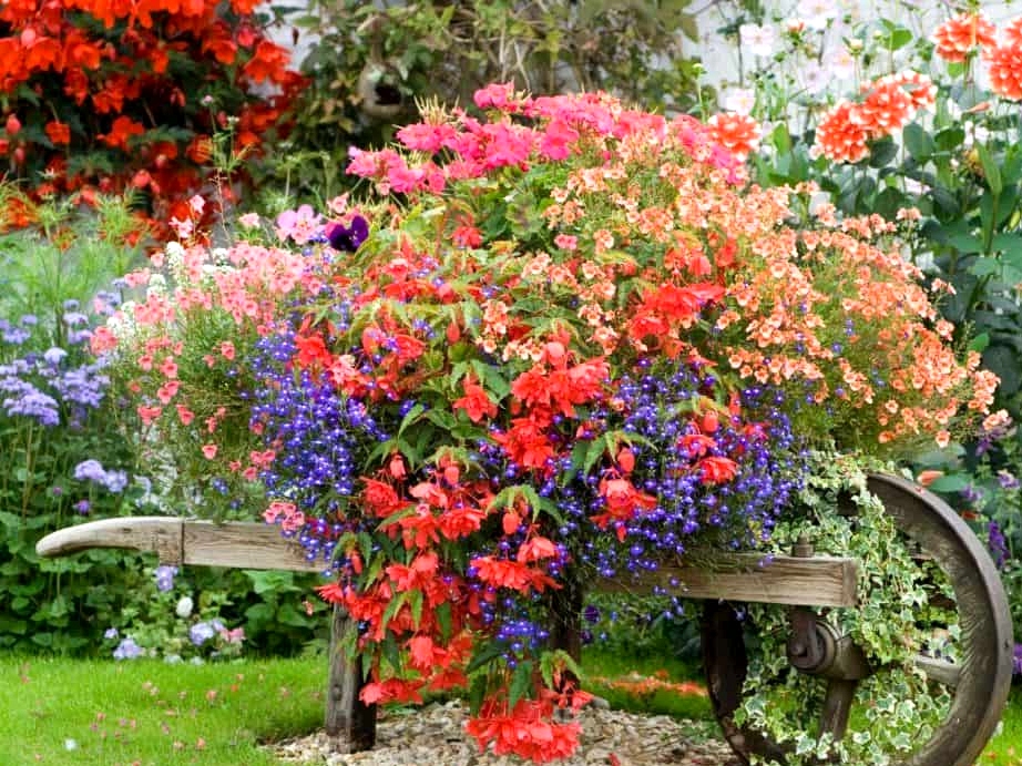 Install a Rustic Chic Wheelbarrow