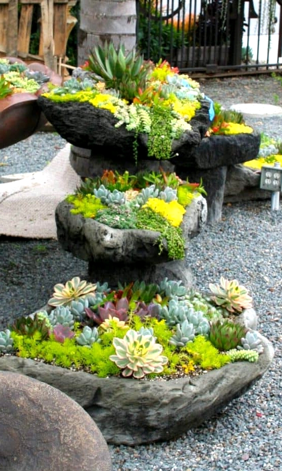 Stones Make for Great Succulent Beds