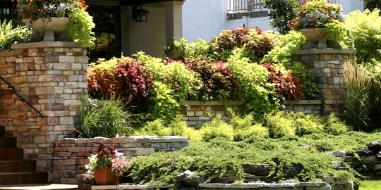 Create Levels of Stone Steps Covered in Plants