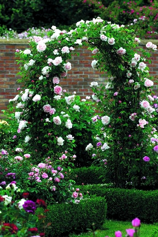 Add a Gorgeous Archway Covered in Plants