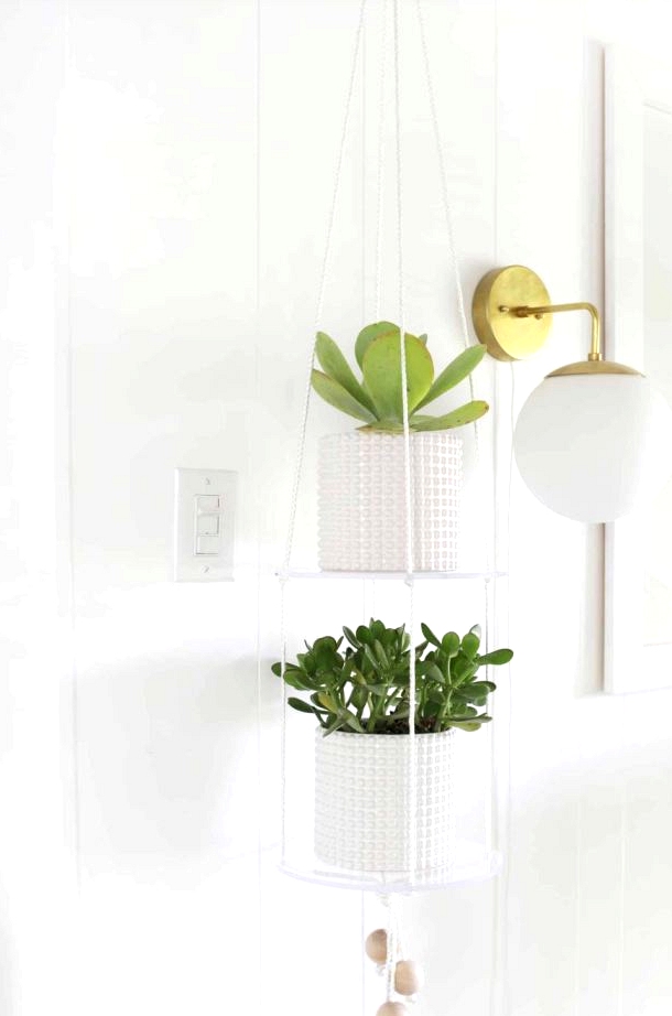 Acrylic shelves make your plants look like they are floating