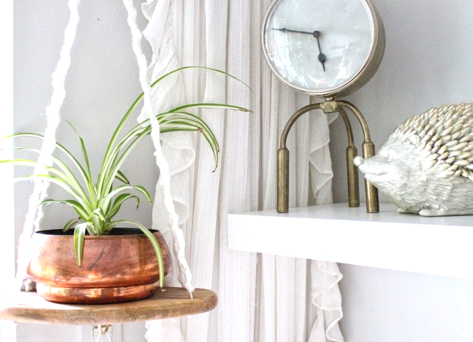 DIY Hanging Planter Concepts For Your Houseplants