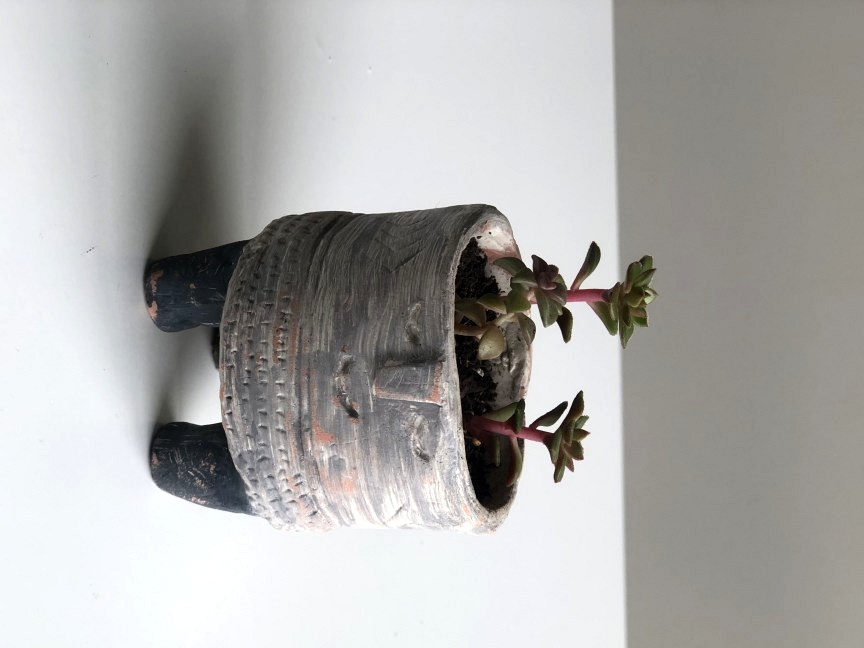 Mini boho air dry clay succulent pot