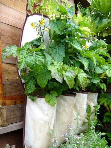 15 Out of the box DIY Planter Ideas For Your Garden