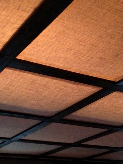 Use Charming Ceiling Tiles