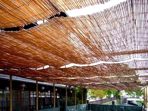 Look for Bamboo Coverings