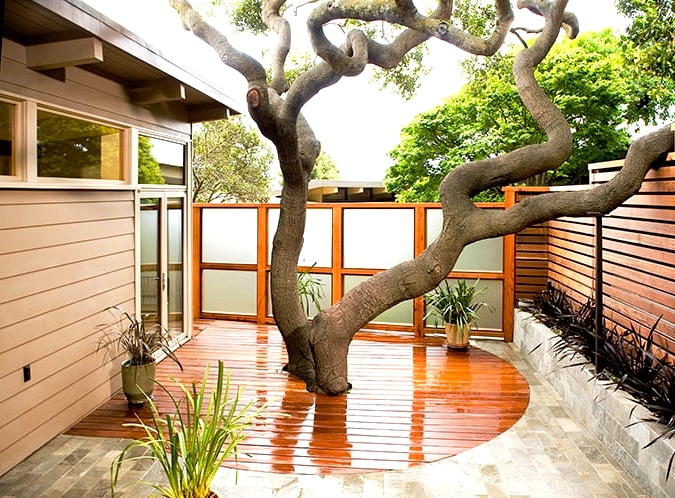 Work Your Patio Around an Existing Tree
