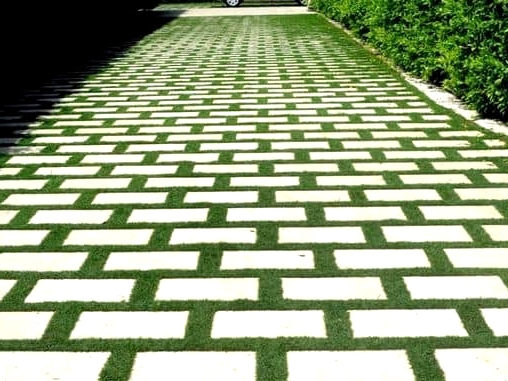 -How-about-a-green-and-grassy-driveway