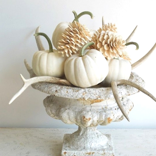 Chic fall decor table centerpiece with white pumpkins pine cones and antlers