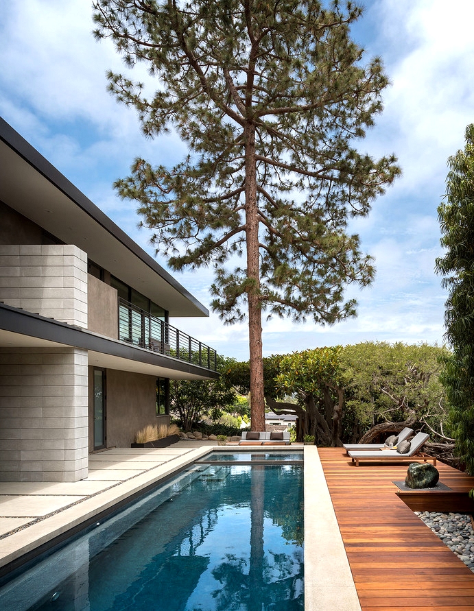 20 Sensational Mid Century Modern Swimming Pool Designs You Will Obsess Over
