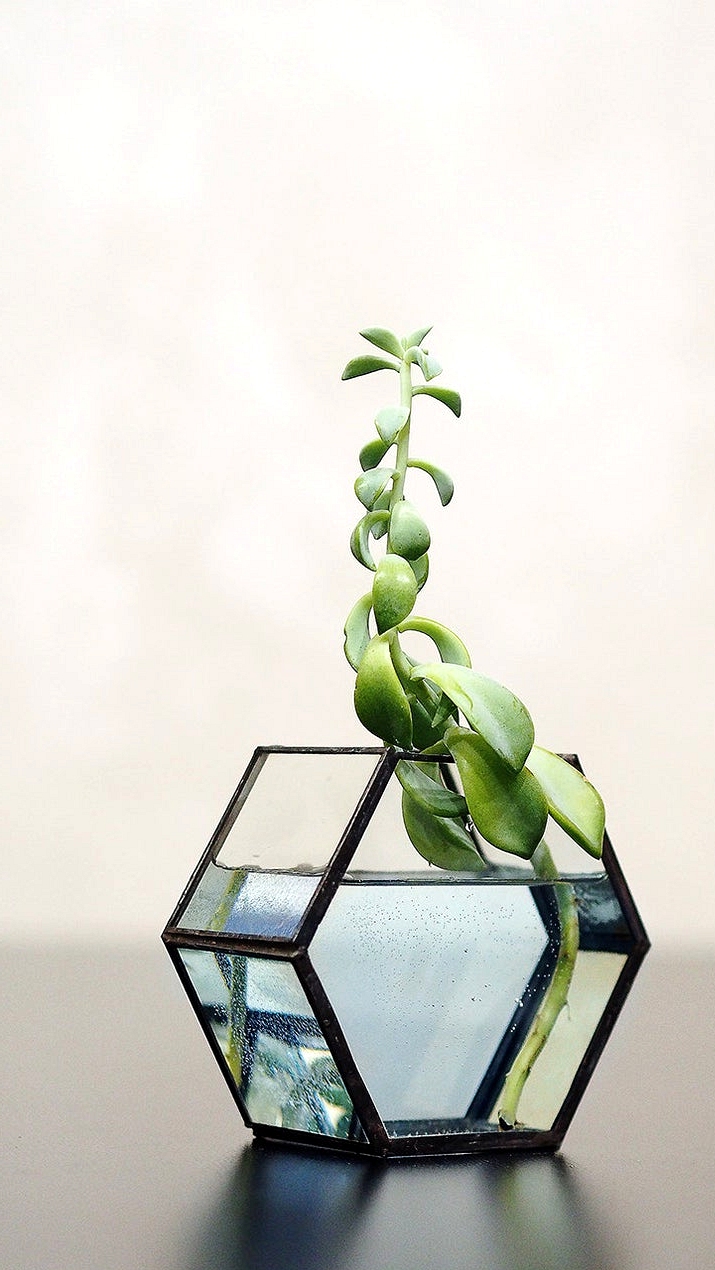 15 Stylish Modern Vase Designs That Will Add A Soft Touch To Your Decor