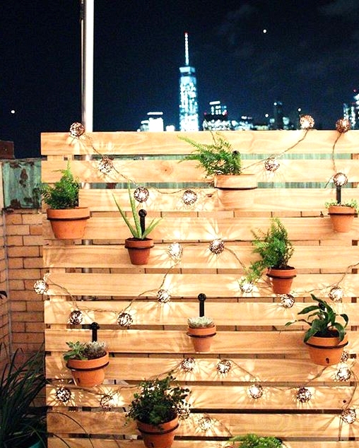 DIY outdoor privacy screen with string lights and hanging plants.
