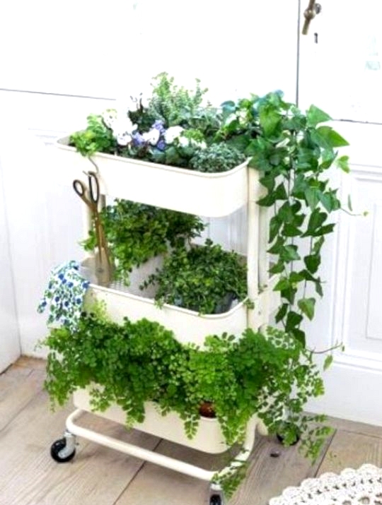 IKEA Hack for happy plants using RASKOG rolling cart