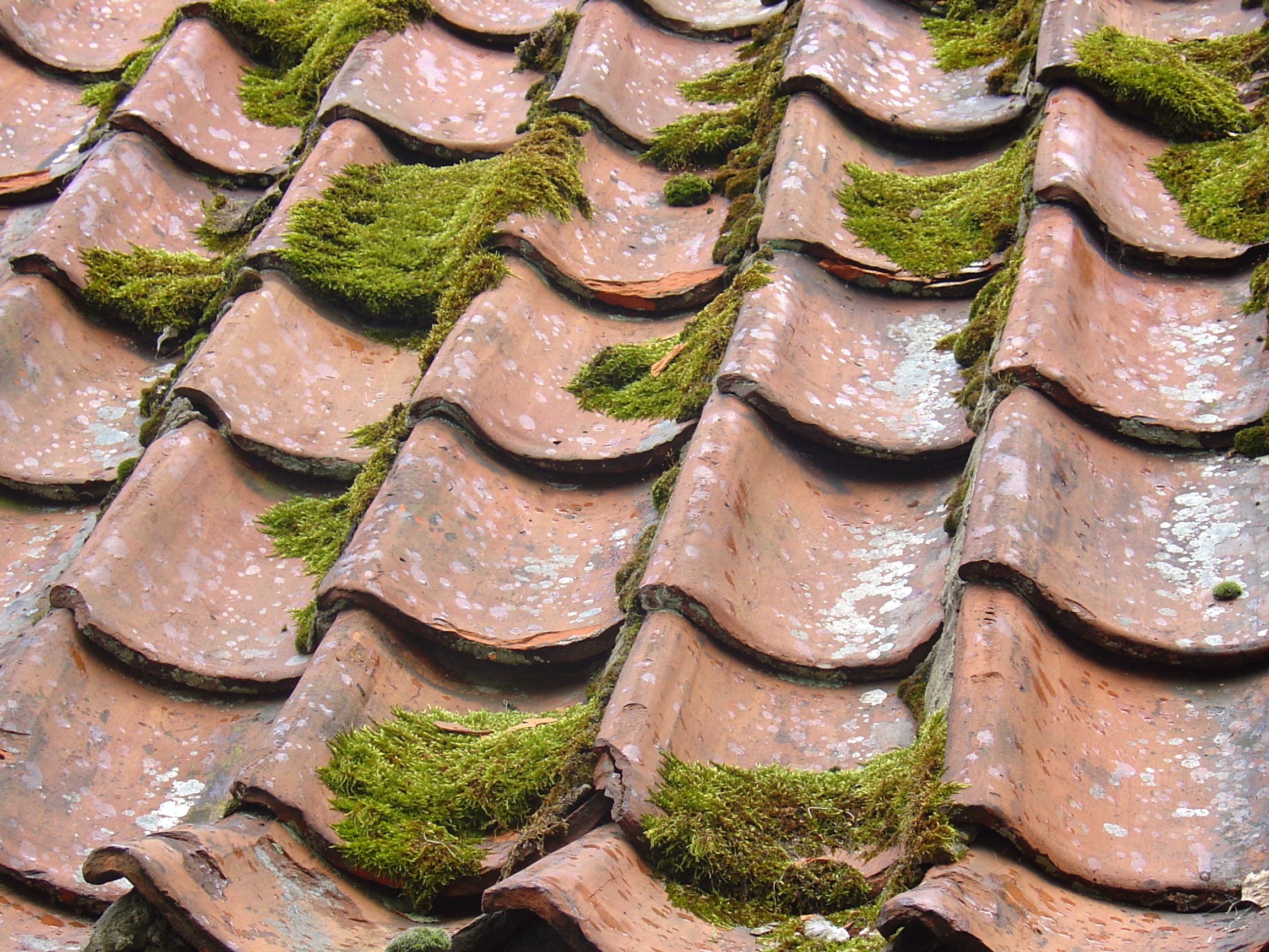 Major Causes of Premature Roof Failure