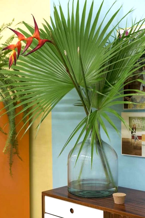 The Most important Traits And How To Care of Heliconia