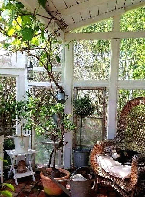 an old glass house with lots of potted plants and greenery, a wicker chair with a white cushion, a watering can and lots of natural light