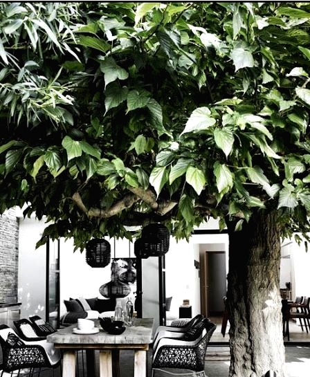 a Nordic terrace with a reclaimed wood table, black chairs, black pendant lamps hanging down from the tree is a chic idea