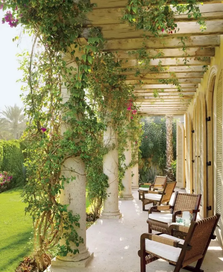 a beautiful terrace with some elegant wicker chairs and white upholstery and lots of greenery weaving the pillars