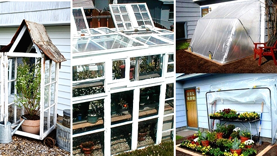 15 Simple DIY Green House Projects That Will Get You Started