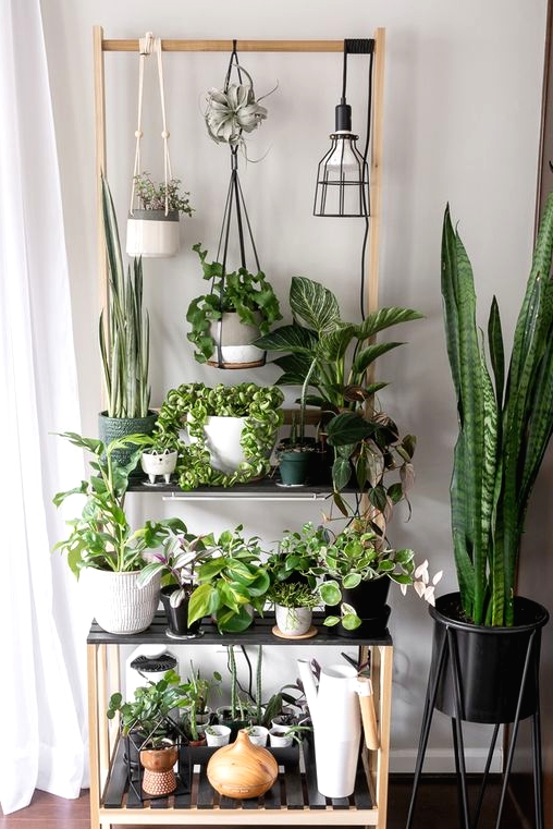 a stylish Scandinavian ladder plant stand with various black and white planters and lots of greenery plus a hanging lamp is amazing