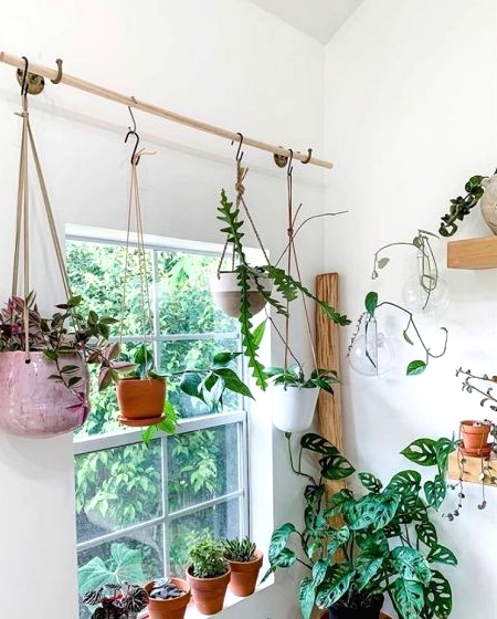 enliven your space with potted plants, if your windowsill is small, go for hanging planters and enjoy the look of your space