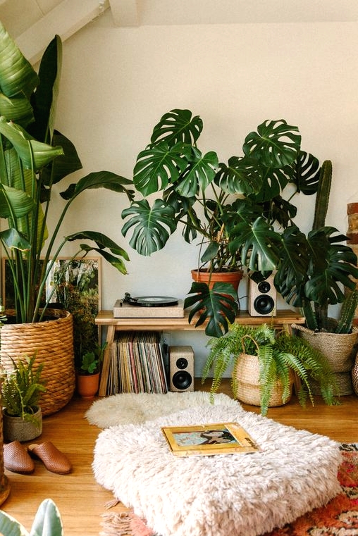 a beautiful jungle-inspired nook with lots of statement potted plants, cushions and rugs and some vinyl is fabulous
