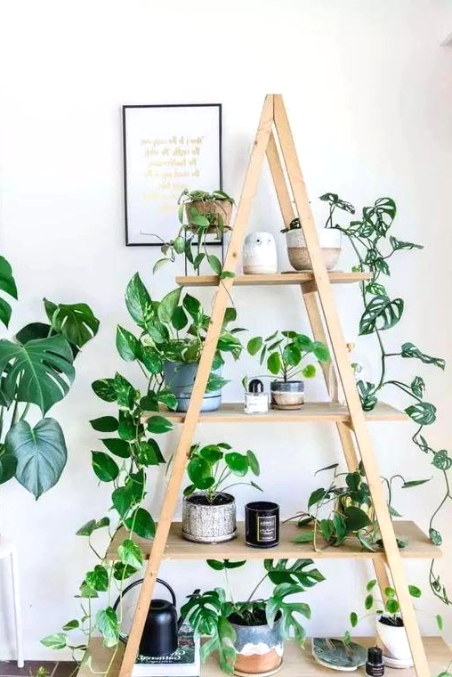 a simple ladder with potted plants and candles is a lovely decoration for a modern, boho or some other space and feels fresh