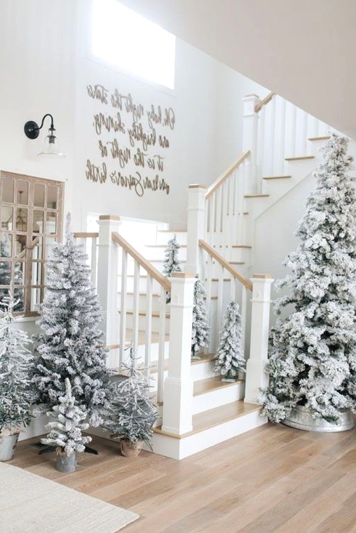 a beautiful rustic winter wonderland space with lots of potted flocked Christmas trees around is a real dream came true