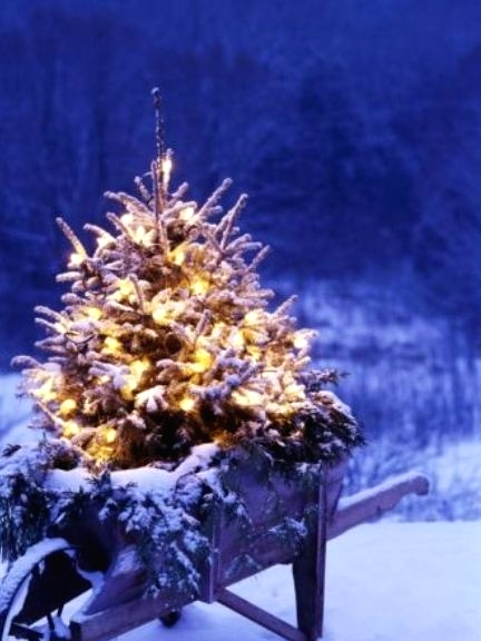 a wooden cart with evergreens and a Christmas tree with lights is beautiful natural and rustic decor for outdoors