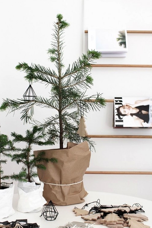 small potted pine trees decorated with himmeli and plywood ornaments look amazing and very simple and will do for a minimalist or Scandinavian space