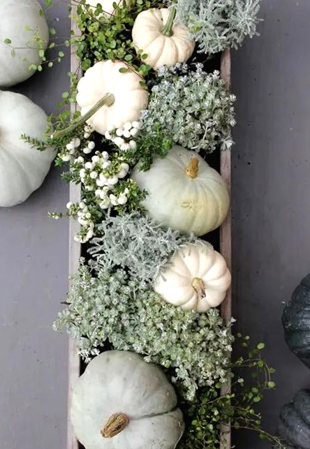 a classy rustic Thanksigiving centerpiece of a white box, white pumpkins, berries and pale greenery is a very cool idea