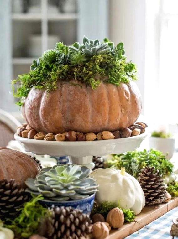 a rustic Thanksgiving centerpiece of pinecones, nuts, a succulent, pumpkins, acorns and a pumpkin with succulents planted
