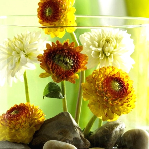 a quirky Thanksgiving centerpiece of a jar with pebbles, white and yellow blooms is a bold statement to go for