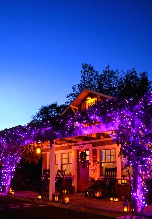 purple lights with lots of foliage is a bold way to decorate your outdoor space for Halloween giving it a desired spirit at once