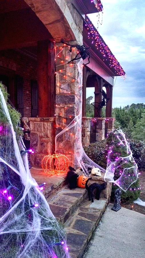 style your outdoors for Halloween with purple and orange lights, with black cats and a light pumpkin plus spiderweb to achieve a bold look