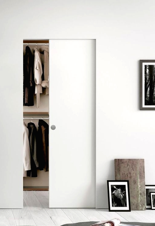 a sleek and small pocket door with a knob is a cool idea to separate the bedroom and the closet with style and without wasting room