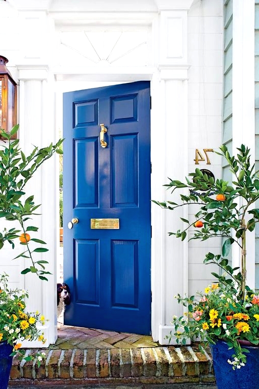 an electric blue front door with gold touches highlighted with electric blue planters with trees, blooms and greenery