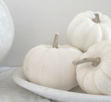 white pumpkins are perfect for fall, Thanksgiving and white Halloween decor and look amazing and are easy to paint
