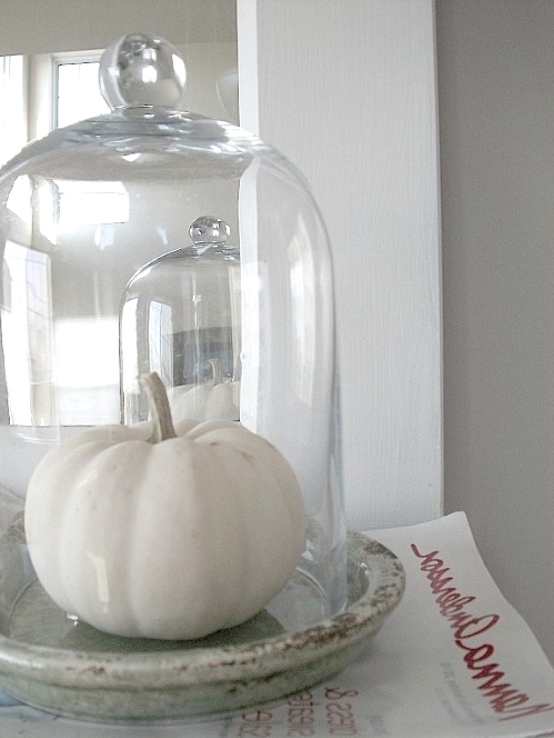 a cloche with a single white pumpkin is a decoration that will work for fall, Thanksgiving and white Halloween, too, it's universal
