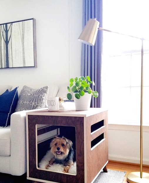 a small yet comfortable dog crate bed doubles as a side table in the living room and is a very functional idea