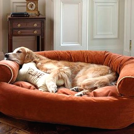 a large soft pet couch in orange, with a favorite pillow is a stylish and cool idea for many interiors and a soft bed for your pet