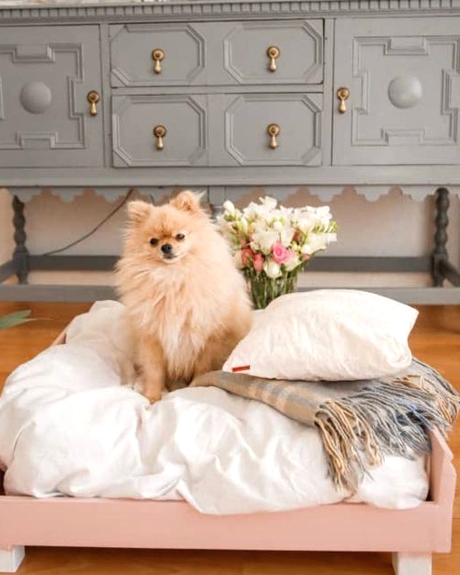 a pretty pink dog bed with an oversized cushion and pillows plus a blanket is a lovely glam idea for your littel doggo